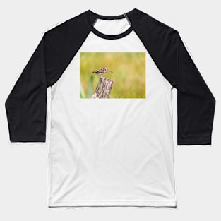 Common snipe bird sitting on tree trunk Baseball T-Shirt